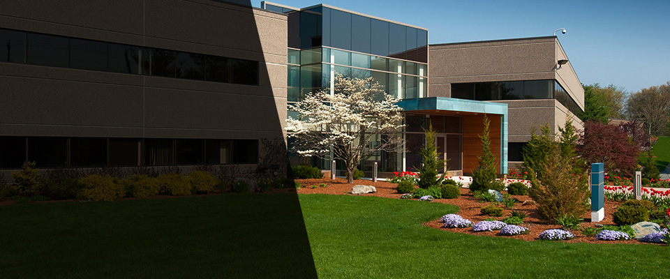 Murphys Landscapers