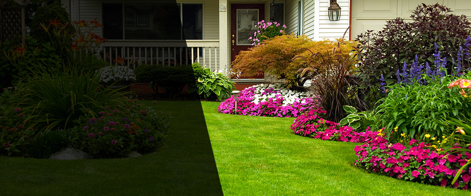 Murphys Landscapers