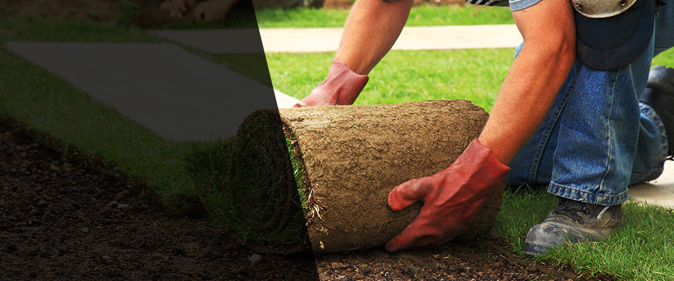 Murphys Landscapers